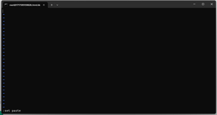 vim 粘贴教程1