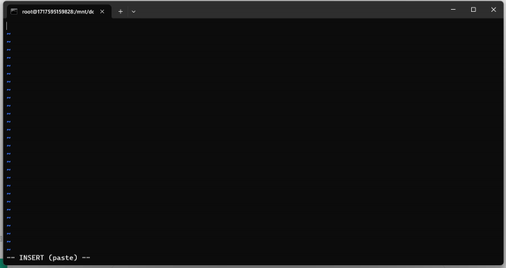 vim 粘贴教程2