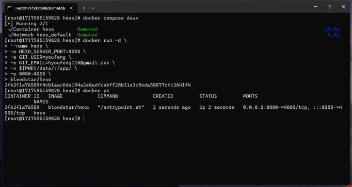 docker run